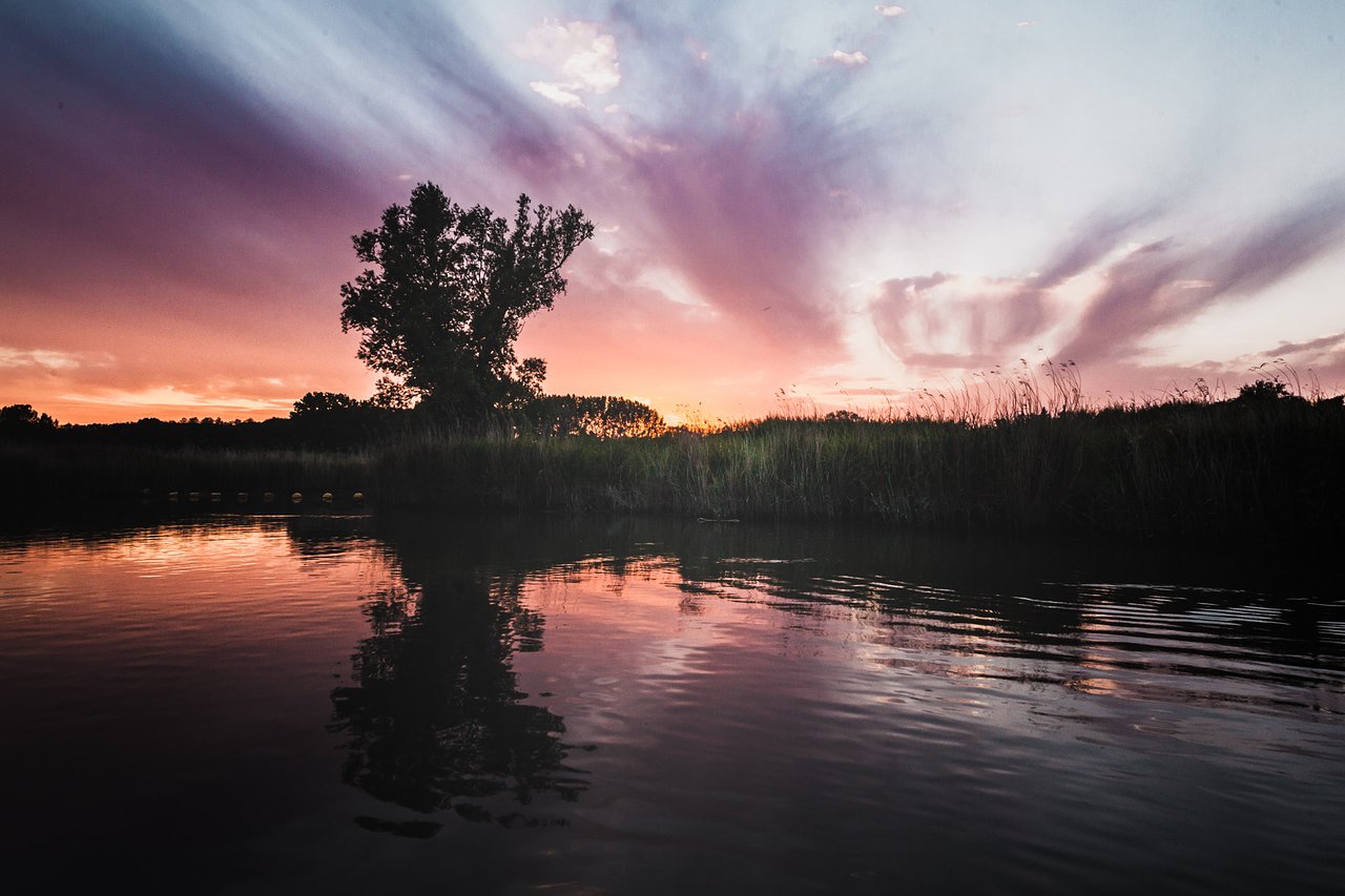Zonsondergang in de Biesbosch